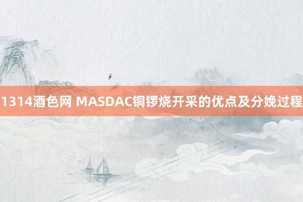 1314酒色网 MASDAC铜锣烧开采的优点及分娩过程