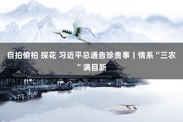 自拍偷拍 探花 习近平总通告珍贵事丨情系“三农”满目新