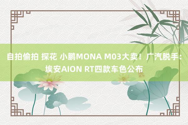 自拍偷拍 探花 小鹏MONA M03大卖！广汽脱手：埃安AION RT四款车色公布