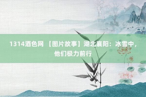 1314酒色网 【图片故事】湖北襄阳：冰雪中，他们极力前行